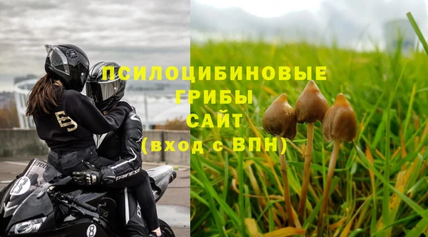 ALPHA-PVP Строитель