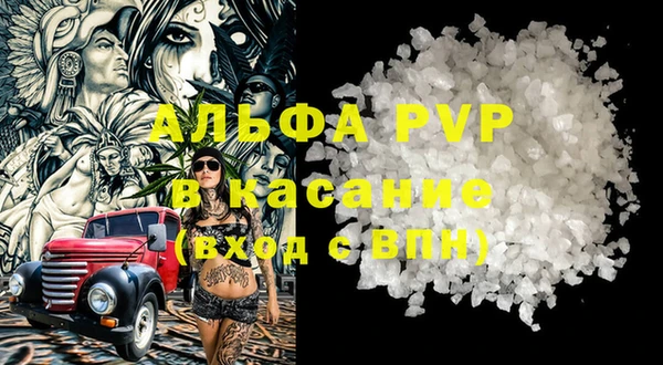 гидра Белокуриха