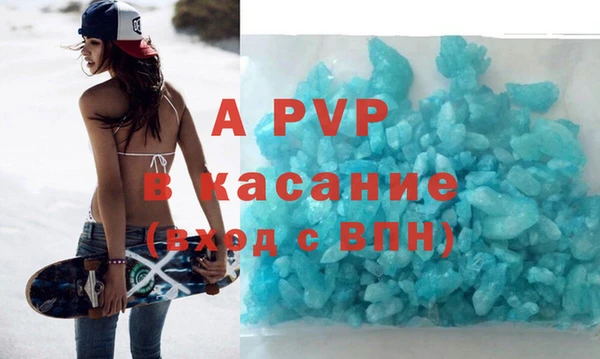 гидра Белокуриха